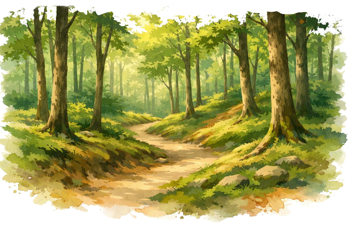 تصویر شهر قائم شهر